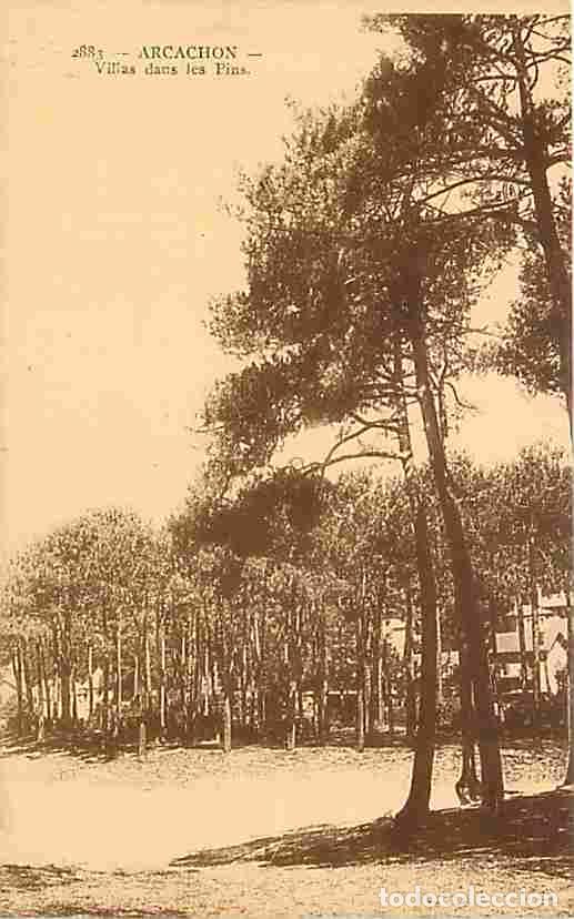 Postkarten: France - 33 - Arcachon - Villa dans les Pins - CPA - Voir Scans Recto-Verso