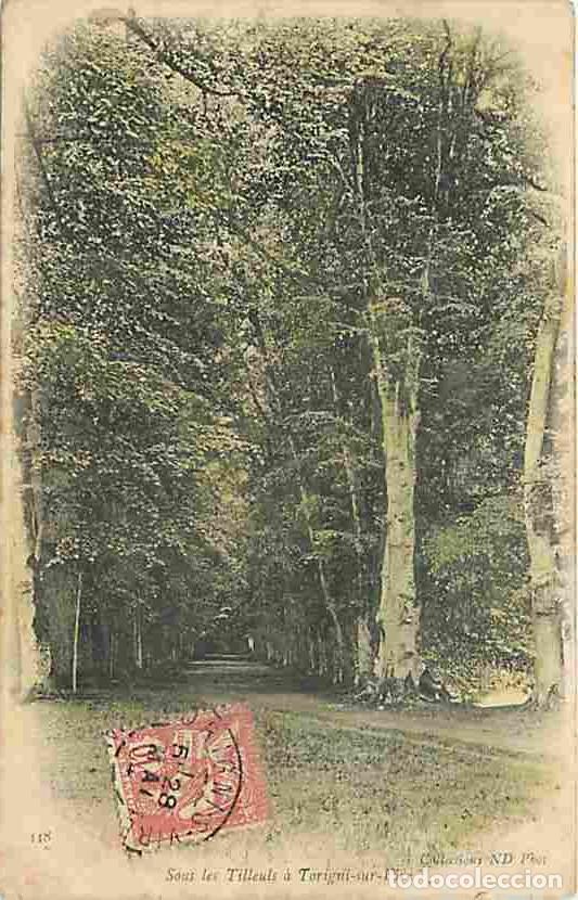 Cartoline: France - 50 - Torigni sur Vire - Sous les Tilleurs - Oblit&eacute;ration ronde de 1904 - CPA - Voir Scans R