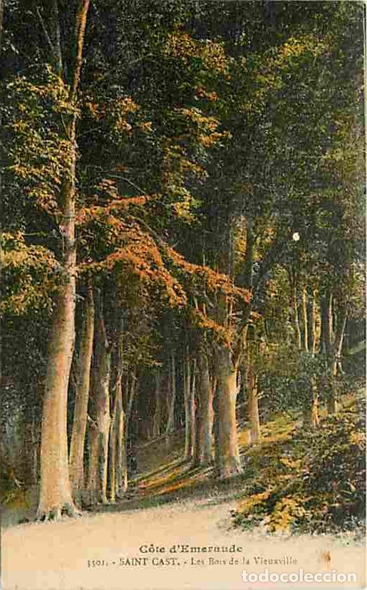 Cartoline: France - 22 - Saint Cast - Les bords de la Vieuxville - CPA - Voir Scans Recto-Verso