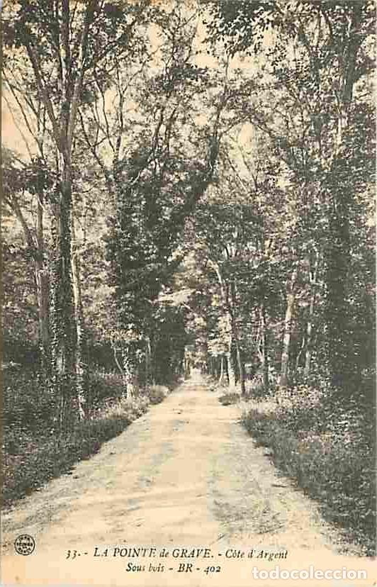 Cartoline: France - 33 - La Pointe de Grave - Sous-Bois - CPA - Voir Scans Recto-Verso