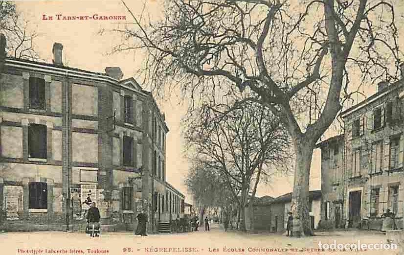 Cartoline: France - 82 - N&egrave;grepelisse - Les Ecoles communales et entr&eacute;e de la ville - Anim&eacute;e - Carte Neuve - CP