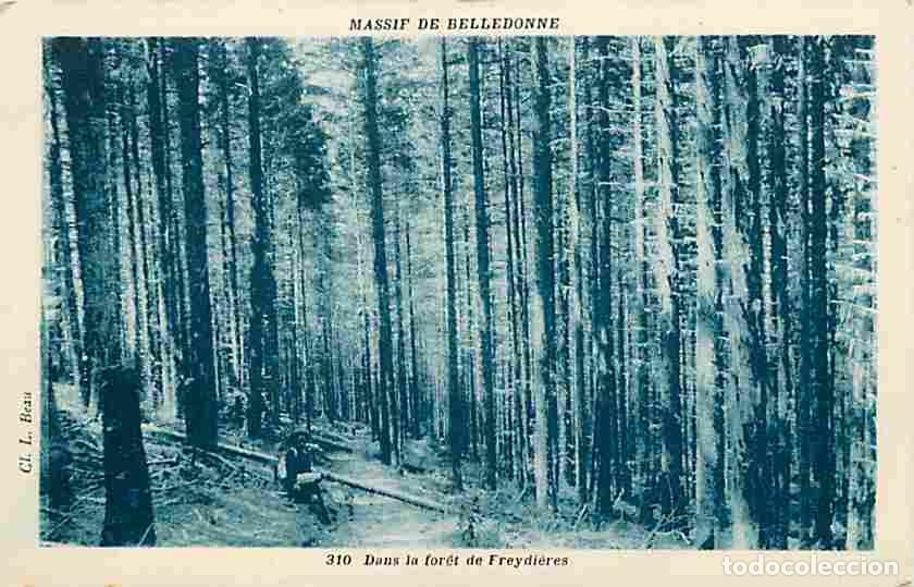 Postais: France - 38 - Is&egrave;re - Massif de Belledonne - Dans la Foret de Freydi&egrave;res - Anim&eacute;e - Carte Neuve - CP