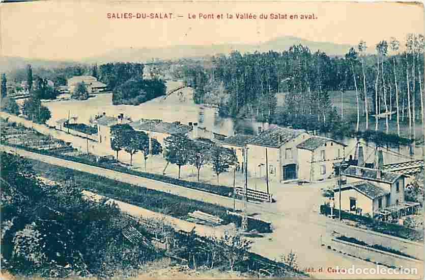 Cartes Postales: France - 31 - Salies du Salat - Le Pont et la Vall&eacute;e du Salat en aval - Oblit&eacute;ration ronde de 1910 -