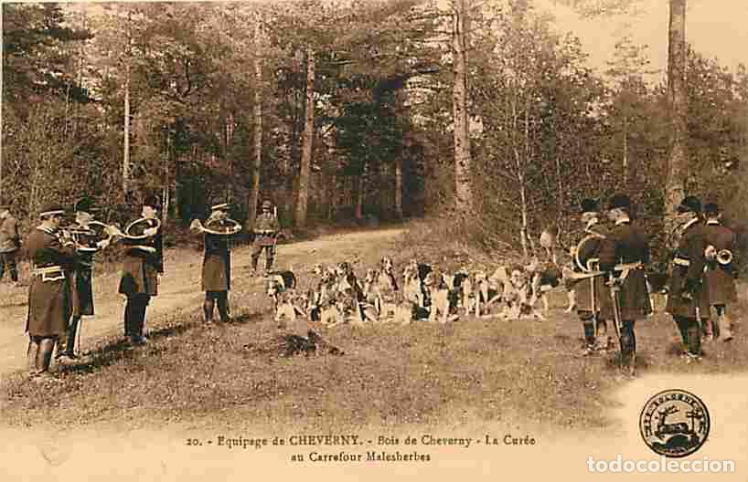 Cartoline: France - 41 - Cheverny - Chasse &agrave; Courre - Equipage de Cheverny - Bois de Cheverny - La Cur&eacute;e au Car