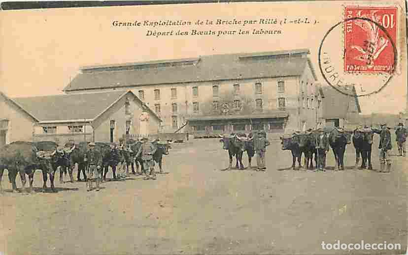 Postales: France - 37 - La Briche - Grande Exploitation de la Briche par Rill&eacute; - D&eacute;part des Boeufs pour les la