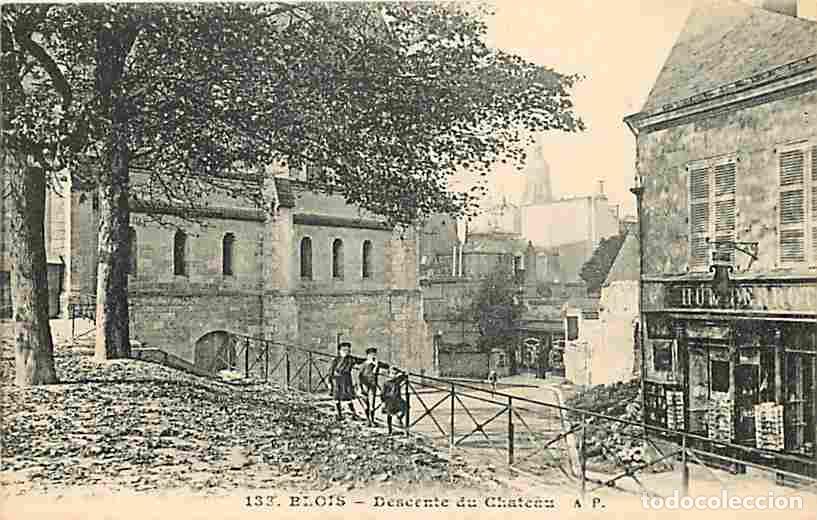 Cartes Postales: France - 41 - Blois - Descente du Ch&acirc;teau - Anim&eacute;e - Carte Neuve - CPA - Voir Scans Recto-Verso