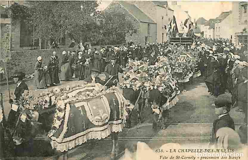 Cartes Postales: France - 44 - La Chapelle des Marais - Fete de Saint Corn&eacute;ly - Procession des Boeufs - Oblit&eacute;ration