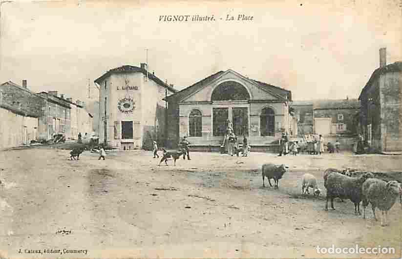 Postais: France - 55 - Vignot - La Place - Anim&eacute;e - Moutons - Voyag&eacute;e en 1916 - CPA - Voir Scans Recto-Verso