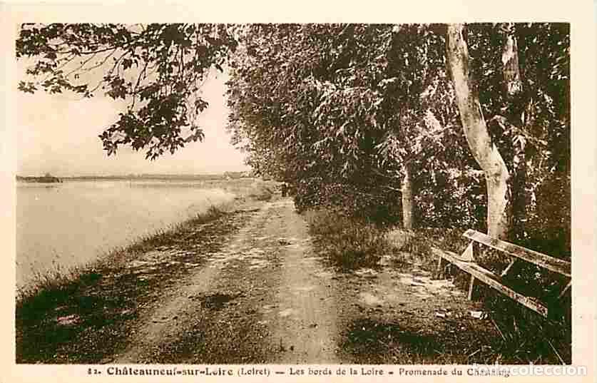 Postais: France - 45 - Chateauneuf sur Loire - Les bords de la Loire - Promenade du Chastaing - Carte Neuve -