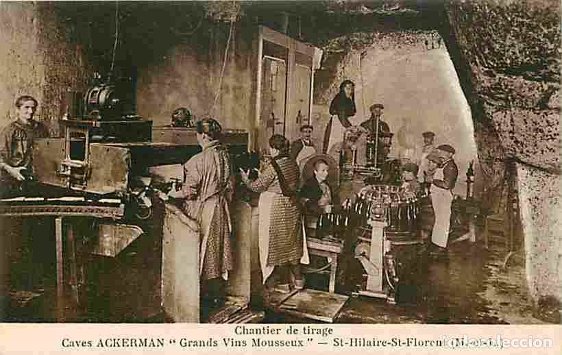 Cartoline: France - 49 - Saint Hilaire Saint Florent - Caves Ackerman - Grands Vins Mousseux - Chantier de tira