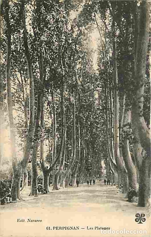 Postales: France - 66 - Perpignan - Les Platanes - Anim&eacute;e - Carte Neuve - CPA - Voir Scans Recto-Verso