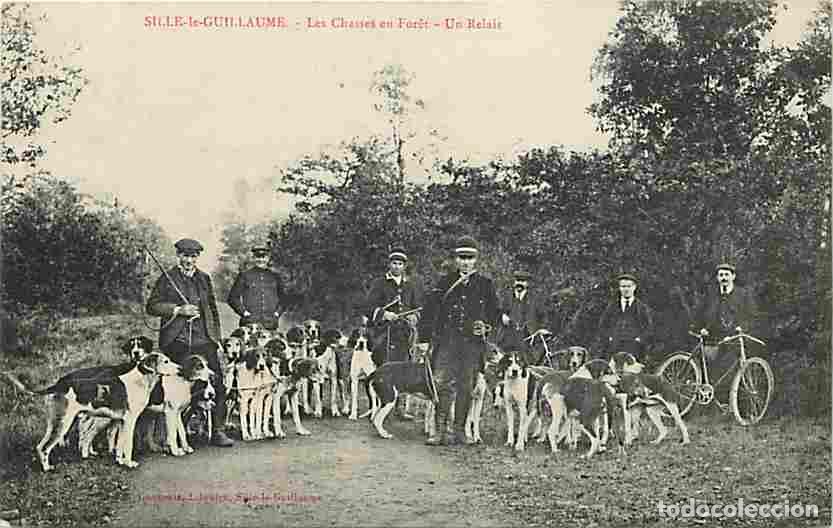 Cartes Postales: France - 72 - Sill&eacute; le Guillaume - Les Chasses en Foret - Un Relais - Anim&eacute;e - Chiens - Carte Neuve