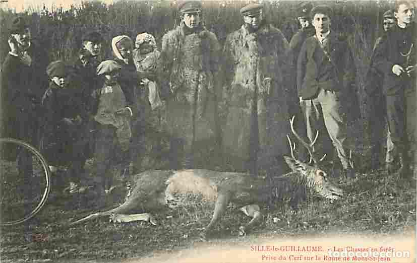 Cartoline: France - 72 - Sill&eacute; le Guillaume - Les Chasses en Foret - Prise du Cerf sur la Route de Mont-St-Jean