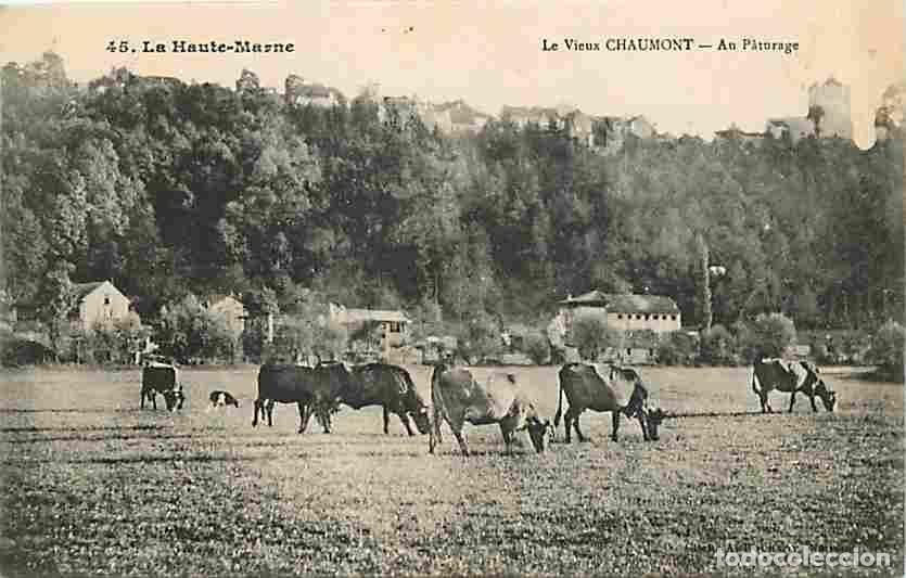 Cartoline: France - 52 - Chaumont - Le Vieux Chaumont - Au Paturage - Vaches - CPA - Voir Scans Recto-Verso