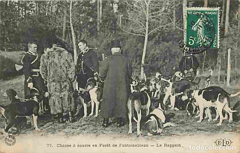 Postais: France - 77 - Fontainebleau - Foret de Fontainebleau - Le rapport - Anim&eacute;e - Chasse &agrave; courre - CPA -