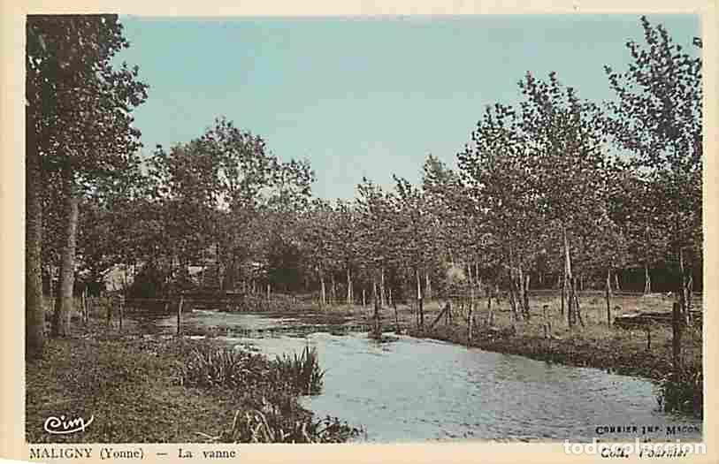 Postales: France - 89 - Maligny - La vanne - CPA - Voir Scans Recto-Verso