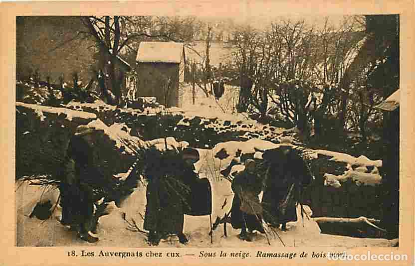 Cartoline: France - 63 - Puy de Dome - Les Auvergnats chez eux - Sous la neige , ramassage du bois mort - Anim&eacute;