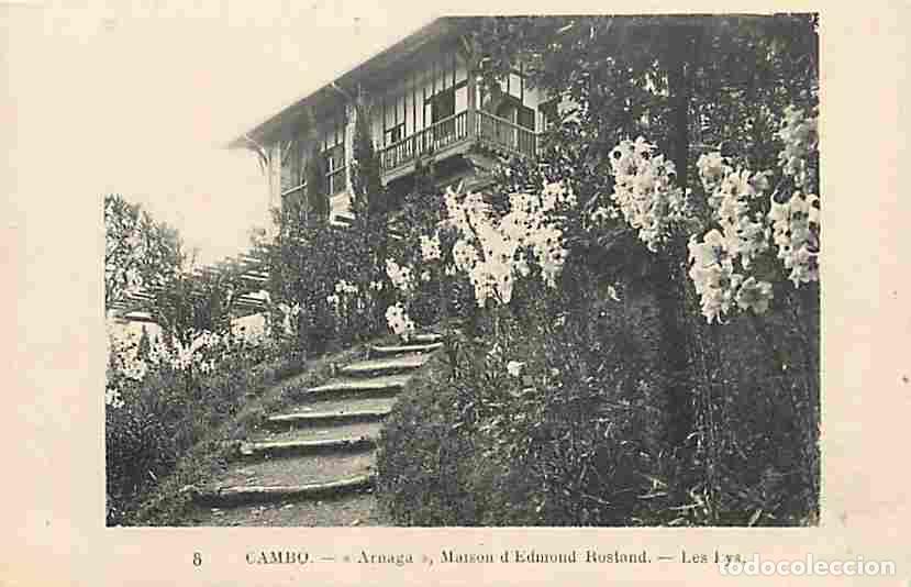 Cartes Postales: France - 64 - Cambo les Bains - Arnaga - Maison d'Edmond Rostand - Les Lys - Carte Neuve - CPA - Voi