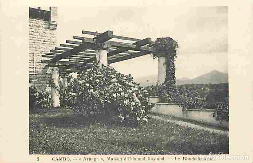 Postais: France - 64 - Cambo les Bains - Arnaga - Maison d'Edmond Rostand - Le Rhododendron - Carte Neuve - C
