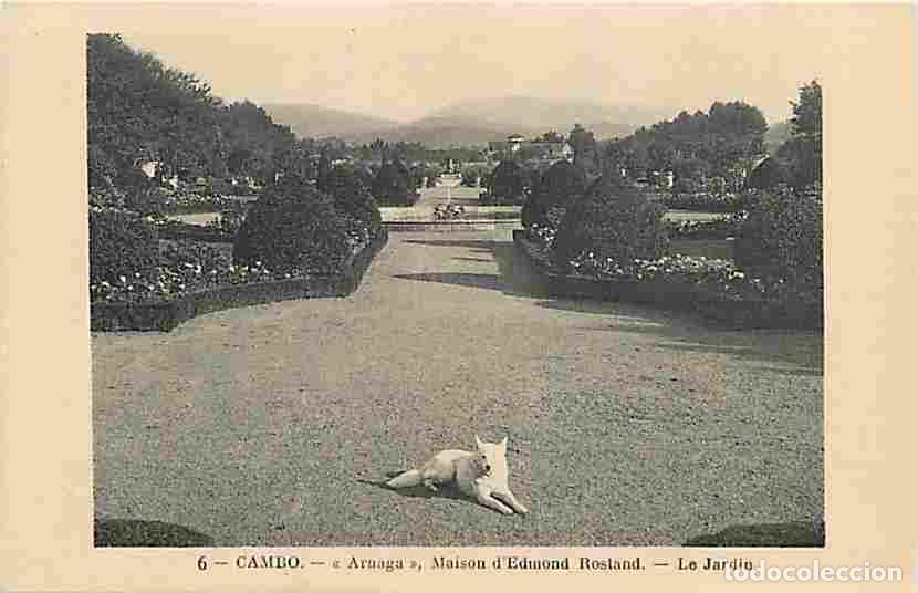 Postais: France - 64 - Cambo les Bains - Arnaga - Maison d'Edmond Rostand - Le Jardin - Chien loup - Carte Ne