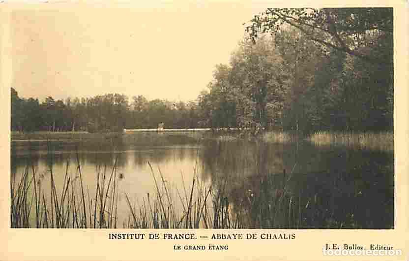 Postais: France - 60 - Chaalis - Institut de France - Abbaye de Chaalis - Le grand &eacute;tang - Carte Neuve - CPA