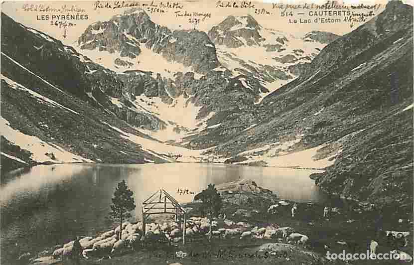 Cartoline: France - 65 - Cauterets - Le Lac d'Estom - Moutons - CPA - Voir Scans Recto-Verso