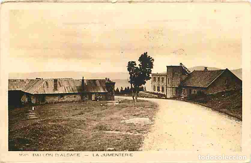Cartes Postales: France - 88 - Ballon d'Alsace - La Jumenterie - CPA - Voir Scans Recto-Verso