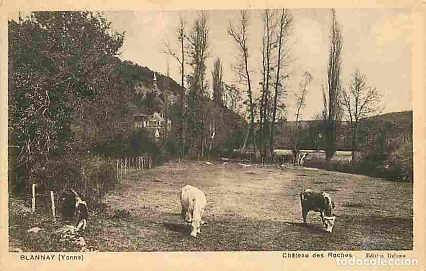 Postkarten: France - 89 - Blannay - Ch&acirc;teau des Roches - Vaches - Voir Timbre - CPA - Voir Scans Recto-Verso