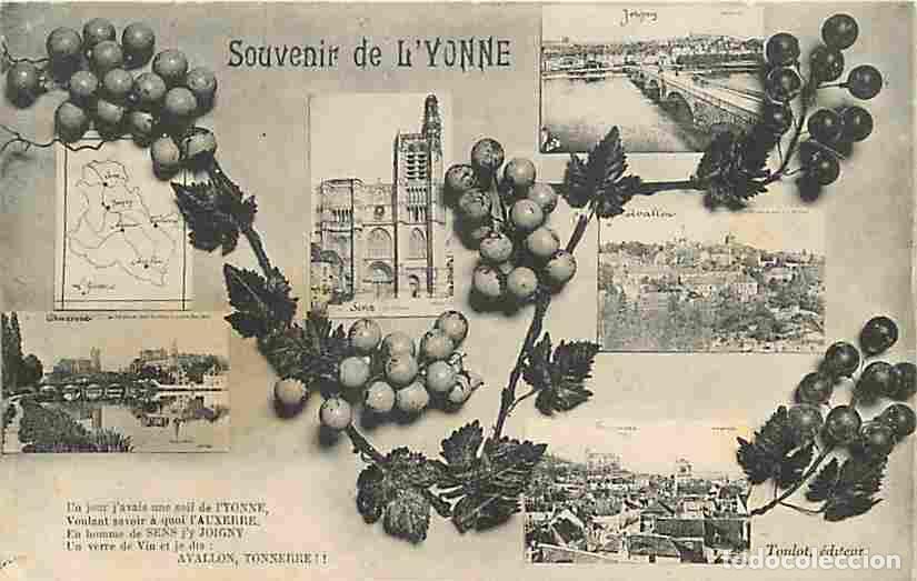 Postkarten: France - 89 - Yonne - Souvenir de l'Yonne - Multivues - Raisins - CPA - Voir Scans Recto-Verso