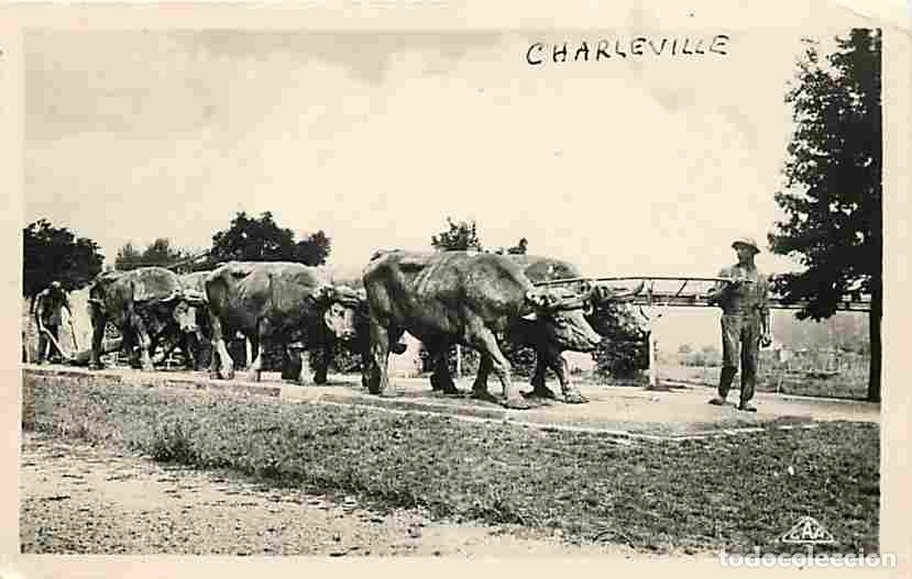 Postkarten: France - 08 - Charleville - Le D&eacute;frichement - Attelage de Boeufs - Paysans - Oblit&eacute;ration ronde de 1