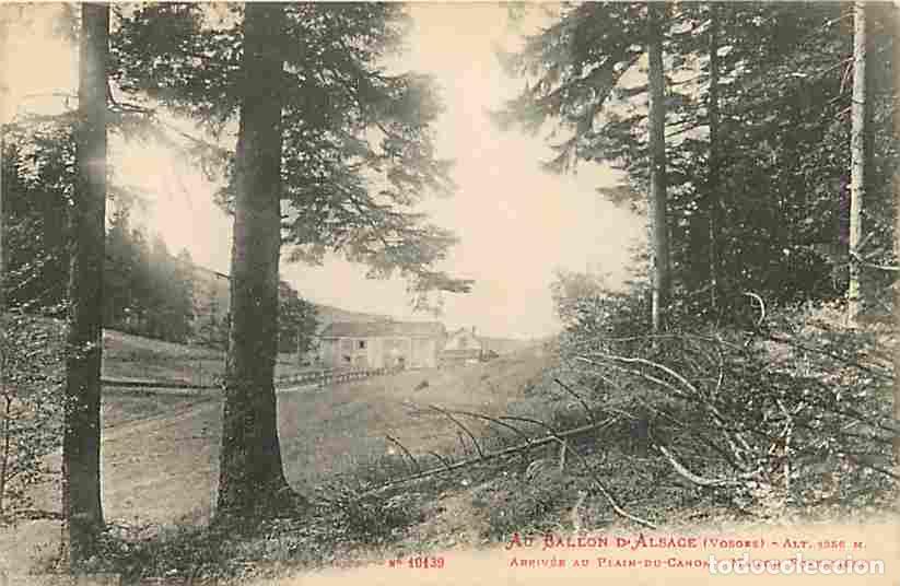 Postkarten: France - 88 - Ballon d'Alsace - Arriv&eacute;e au Plain du Canon - Maison Foresti&egrave;re - CPA - Voir Scans Rec