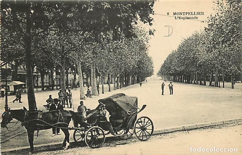 Cartoline: France - 34 - Montpellier - L'Esplanade - Anim&eacute;e - Cal&egrave;che - Chevaux - Carte Neuve - CPA - Voir Scan
