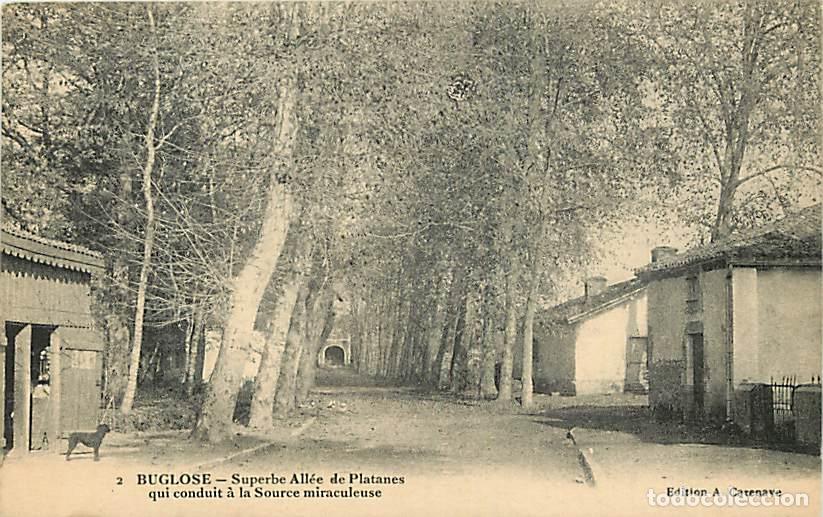 Postais: France - 40 - Buglose - Superbe All&eacute;e de Platanes qui conduit &agrave; la Source miraculeuse - Carte Neuve