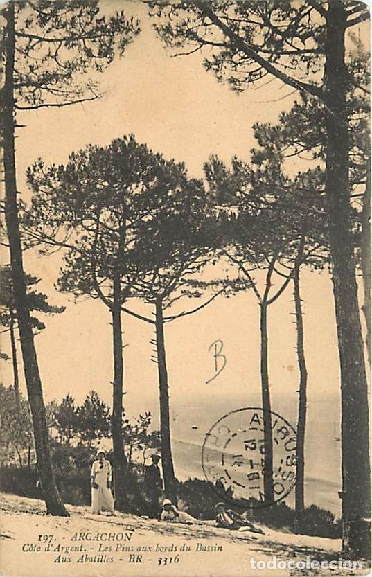 Cartoline: France - 33 - Arcachon - Les pins aux bords du Bassin - Anim&eacute;e - Oblit&eacute;ration ronde de 1911 - CPA -