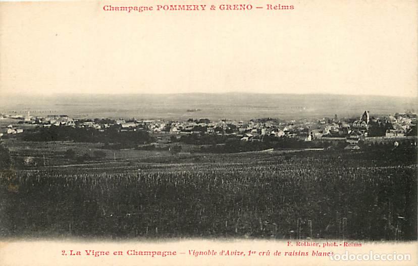 Postales: France - 51 - Reims - Champagne Pommery et Greno - La Vigne en Champagne - Vignoble d'Avize, 1er cr&ucirc;