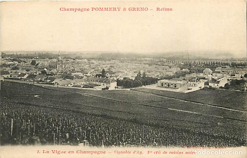 Postales: France - 51 - Reims - Champagne Pommery et Greno - La Vigne en Champagne - Vignoble d'Ay, 1er cr&ucirc; de