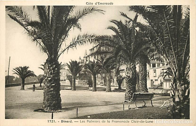 Postkarten: France - 35 - Dinard - Les Palmiers de la Promenade Clair-de-Lune - CPA - Voir Scans Recto-Verso