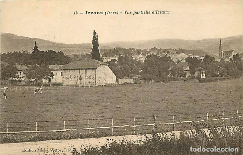 Cartoline: France - 38 - Izeaux - Vue partielle d'Izeaux - Vaches - CPA - Voir Scans Recto-Verso