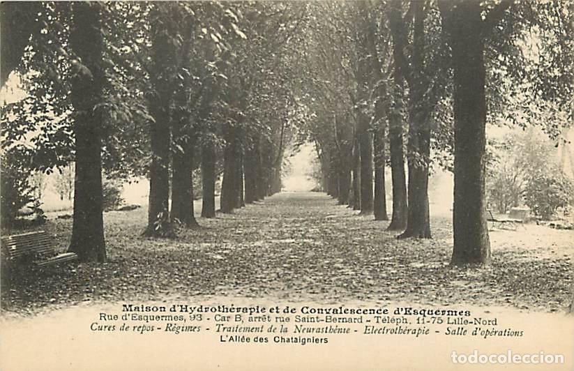 Postkarten: France - 59 - Lille - Maison d'Hydroth&eacute;rapie et de Convalescence d'Esquermes - L'All&eacute;e des Ch&acirc;taigni
