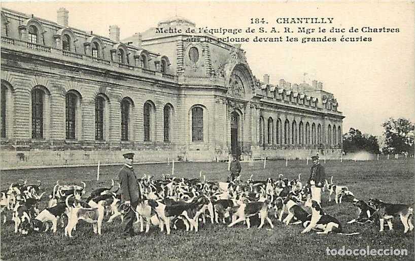 Postkarten: France - 60 - Chantilly - Meute de l'&eacute;quipage de S. A. R. . Mgr le duc de Chartres sur la pelouse de