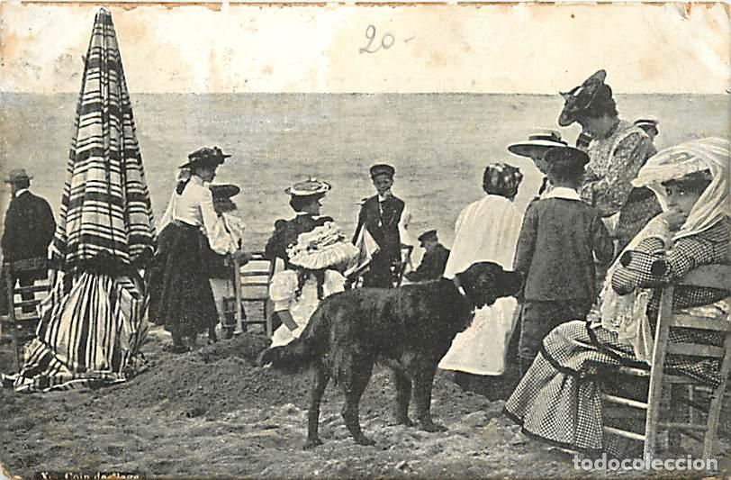 Postkarten: France - 62 - Pas de Calais - Sc&egrave;nes de Plage - Chiens - Anim&eacute;e - Carte Photo - Oblit&eacute;ration ronde d