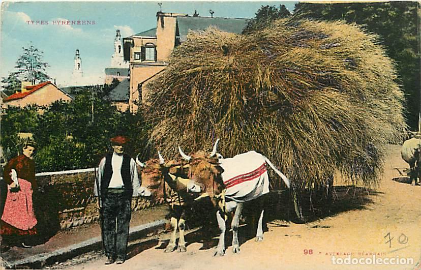 Postkarten: France - 64 - Pyr&eacute;n&eacute;es Atlantiques - Types Pyr&eacute;n&eacute;ens - Paysans - Attelage de Boeufs - Coloris&eacute;e - Fo