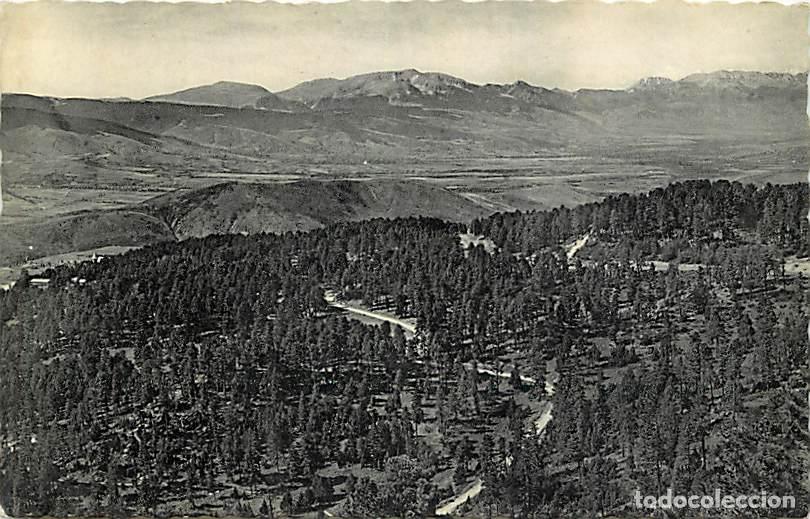 Postkarten: France - 66 - Font Romeu - La For&ecirc;t de la Sierra de Cadi - Correspondance - CPA - Voir Scans Recto-V