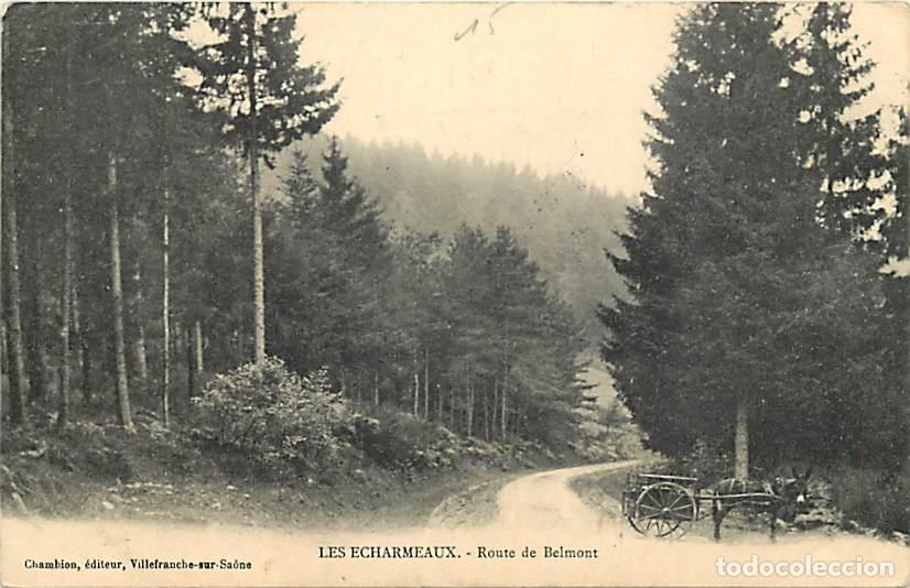 Cartoline: France - 69 - Les Echarmeaux - Route de Belmont - Anim&eacute;e - Anes - Oblit&eacute;ration ronde de 1909 - CPA -