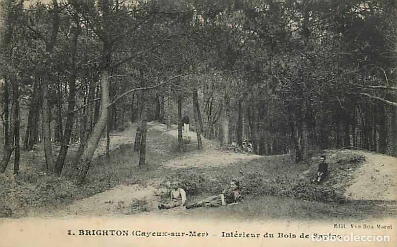 Postales: France - 80 - Cayeux sur Mer - Brighton - Int&eacute;rieur du Bois de Sapins - Anim&eacute;e - Oblit&eacute;ration ronde
