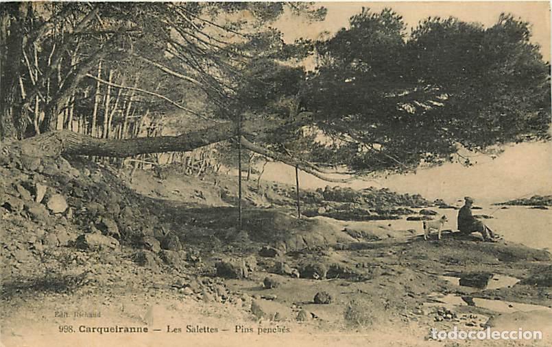 Cartoline: France - 83 - Carquairanne - Les Salettes - Pins pench&eacute;s - Anim&eacute;e - Correspondance - Voyag&eacute;e en 1924