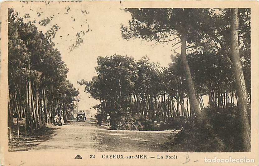 Cartoline: France - 80 - Cayeux sur Mer - La Foret - Anim&eacute;e - Automobiles - Oblit&eacute;ration ronde de 1930 - CPA -