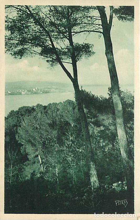 Postais: France - 06 - Antibes - Les Remparts - Les vieux remparts vus du cap - CPA - Carte Neuve - Voir Scan