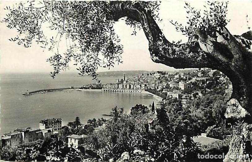 Postales: France - 06 - Menton - Vue sur le vieille vllle prise des splendides Jardins des Colombi&egrave;res - CPSM