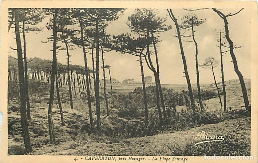 Postcards: France - 40 - Capbreton - La plage sauvage - CPA - Etat abim&eacute;e sur la gauche - Voir Scans Recto-Vers